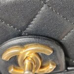 Chanel Flap Bag (Шанель) — фото 19