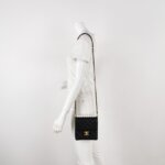 Chanel Flap Bag (Шанель) — фото 2