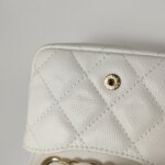 Chanel Quilted Calfskin CC Belt Bag (Шанель) — фото 12