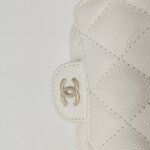Chanel Quilted Calfskin CC Belt Bag (Шанель) — фото 15
