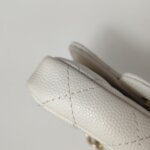 Chanel Quilted Calfskin CC Belt Bag (Шанель) — фото 20
