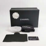 Chanel Coco Handle (Шанель) — фото 9