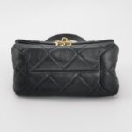 Chanel Flap Bag (Шанель) — фото 6