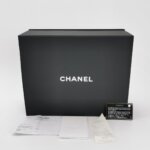 Chanel Circular Handle (Шанель) — фото 9