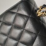 Chanel Flap Bag (Шанель) — фото 22