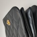 Chanel Flap Bag (Шанель) — фото 25