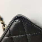 Chanel Quilted Lambskin CC Belt Bag (Шанель) — фото 17