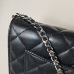 Chanel WOC (Шанель) — фото 14