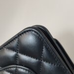 Chanel WOC (Шанель) — фото 21