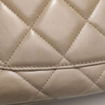 Chanel Flap Bag (Шанель) — фото 22