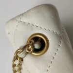 Chanel Flap Bag (Шанель) — фото 15