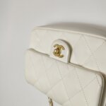 Chanel Flap Bag (Шанель) — фото 19