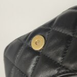 Chanel Quilted Lambskin CC Belt Bag (Шанель) — фото 15