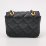Chanel Quilted Lambskin CC Belt Bag (Шанель) — фото 5