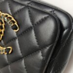 Chanel Quilted Lambskin CC Crossbody (Шанель) — фото 20