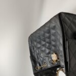 Chanel 25 Bag (Шанель) — фото 12