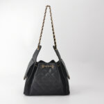 Chanel 25 Bag (Шанель) — фото 5