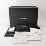 Chanel 25 Bag (Шанель) — фото 9
