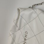 Chanel 22Bag (Шанель) — фото 13