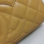 Chanel Quilted Calfskin CC Handbag (Шанель) — фото 22