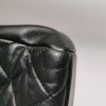 Chanel Flap Bag (Шанель) — фото 19