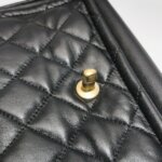 Chanel Flap Bag (Шанель) — фото 27