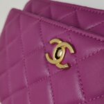 Chanel Quilted Lambskin CC Crossbody (Шанель) — фото 18