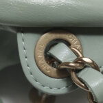 Chanel 22Bag (Шанель) — фото 14