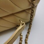 Chanel Flap Bag (Шанель) — фото 12