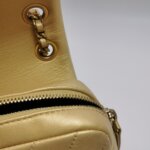 Chanel Flap Bag (Шанель) — фото 18