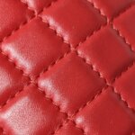 Chanel Leboy (Шанель) — фото 24