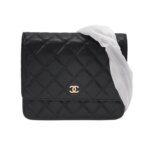 Chanel Quilted Calfskin CC Crossbody (Шанель) — миниатюра 1