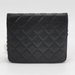 Chanel Quilted Calfskin CC Crossbody (Шанель) — фото 5