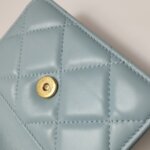 Chanel Quilted Lambskin CC Belt Bag (Шанель) — фото 12