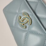 Chanel Quilted Lambskin CC Belt Bag (Шанель) — фото 15