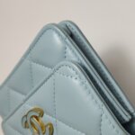 Chanel Quilted Lambskin CC Belt Bag (Шанель) — фото 18