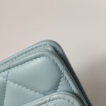 Chanel Quilted Lambskin CC Belt Bag (Шанель) — фото 19