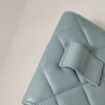 Chanel Quilted Lambskin CC Belt Bag (Шанель) — фото 20