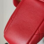 Chanel mini Flap (Шанель) — фото 17
