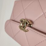 Chanel Quilted Calfskin CC Crossbody (Шанель) — фото 10