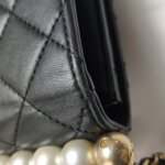 Chanel Flap Bag (Шанель) — фото 16
