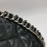 Chanel Flap Bag (Шанель) — фото 20