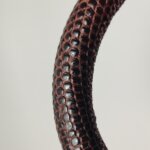 Chanel Coco Handle (Шанель) — фото 26