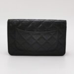 Chanel 2.55 Bag (Шанель) — фото 5
