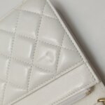 Chanel Quilted Lambskin CC Crossbody (Шанель) — фото 16
