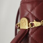 Chanel Quilted Calfskin CC Backpack (Шанель) — фото 13
