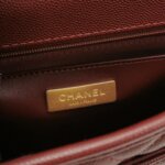 Chanel Quilted Calfskin CC Backpack (Шанель) — фото 8