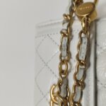 Chanel Quilted Calfskin CC Belt Bag (Шанель) — фото 14