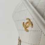 Chanel Quilted Calfskin CC Belt Bag (Шанель) — фото 16