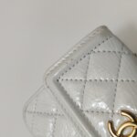 Chanel Quilted Calfskin CC Belt Bag (Шанель) — фото 26